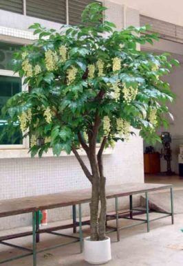 15358 wistaria flower 320cm