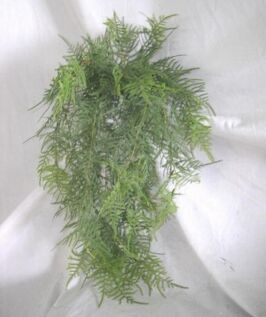 19111 asparagus fern hanging bush x 233 lvs 75 cm
