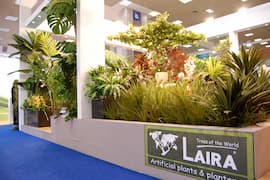 left banner plants